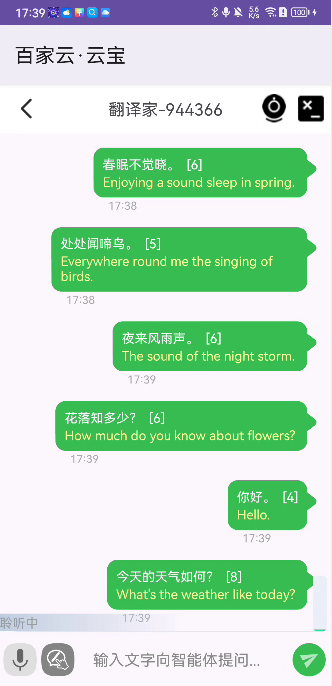 翻译字幕展示